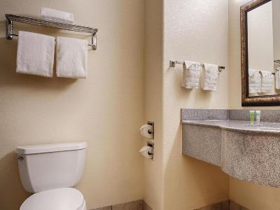 Western Palace Inn&suites Big Spring